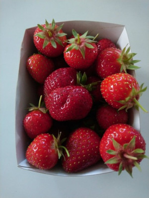 Fraises