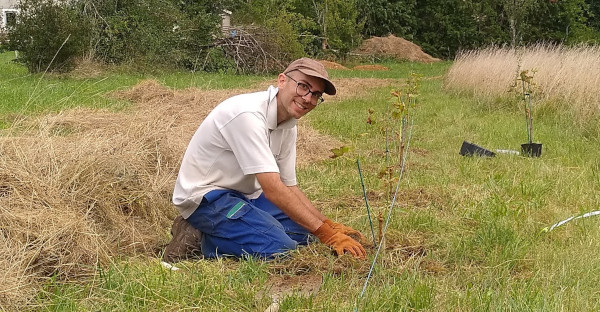 Plantation de noisetiers